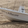 albacore albacore